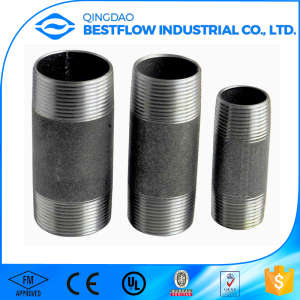 Hot Sale Galvanized NPT Screwed Steel Pipe Nipple