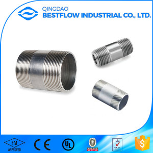 ASTM/DIN Stainless Steel NPT Thread Pipe Nipple