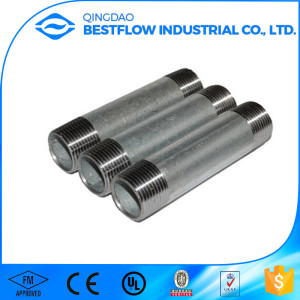 Hot DIP Galvanized/Electric Galvanized Carbon Steel Pipe Nipple